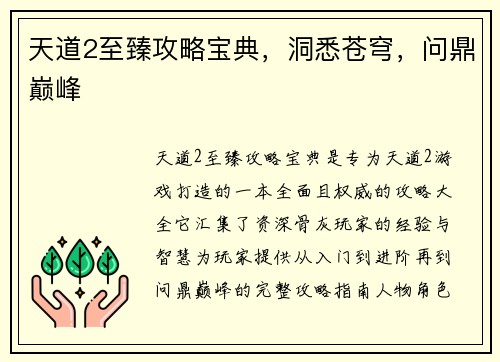 天道2至臻攻略宝典，洞悉苍穹，问鼎巅峰